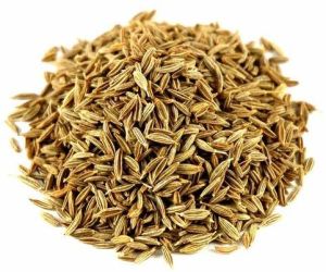 Cumin Seeds